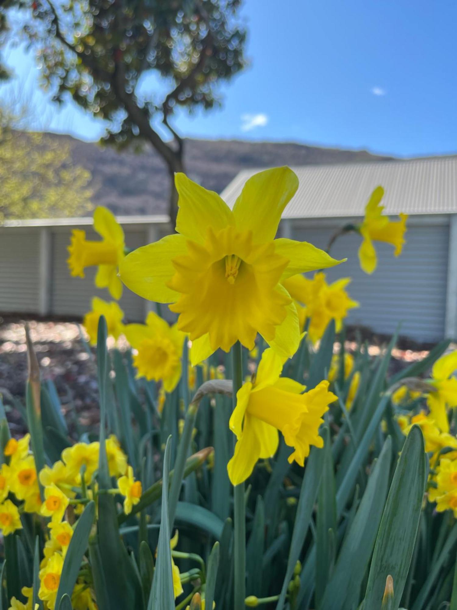 Hampshire Holiday Parks - Arrowtown Exterior photo