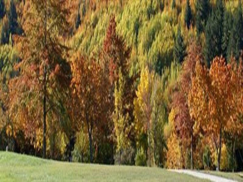 Hampshire Holiday Parks - Arrowtown Exterior photo